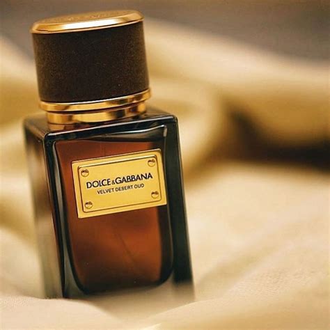 dolce gabbana king queen|dolce and gabbana velvet desert oud.